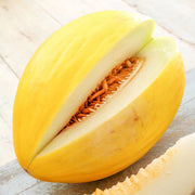 Crenshaw Melon Seeds