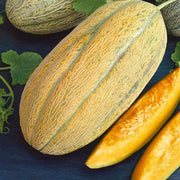 Gold Banana Melon Seeds