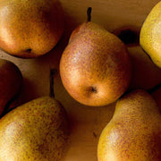Golden Russet Pear Melon Seeds