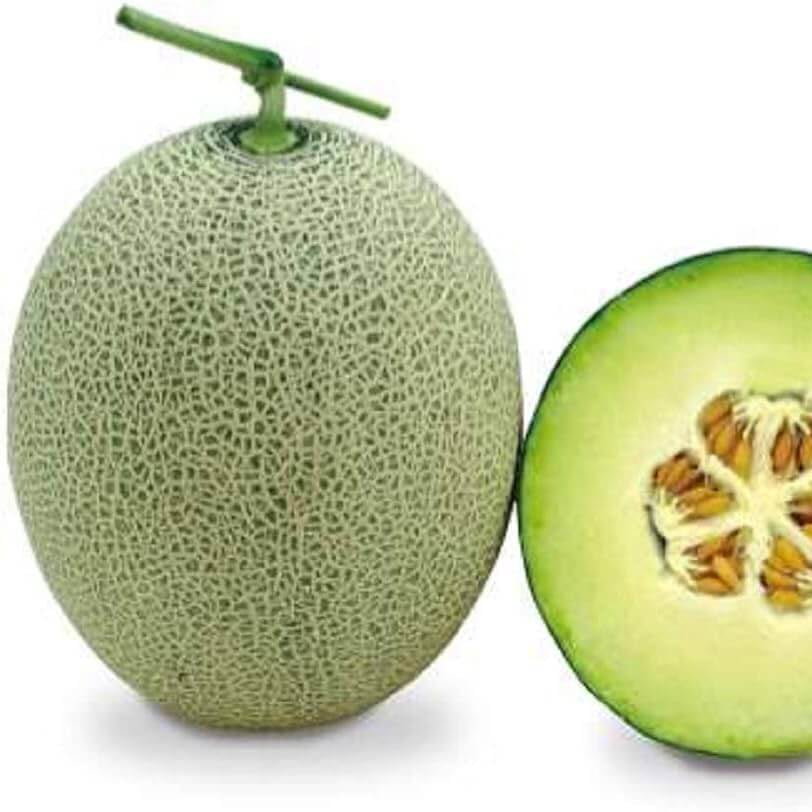 Green Muskmelon Melon Seeds