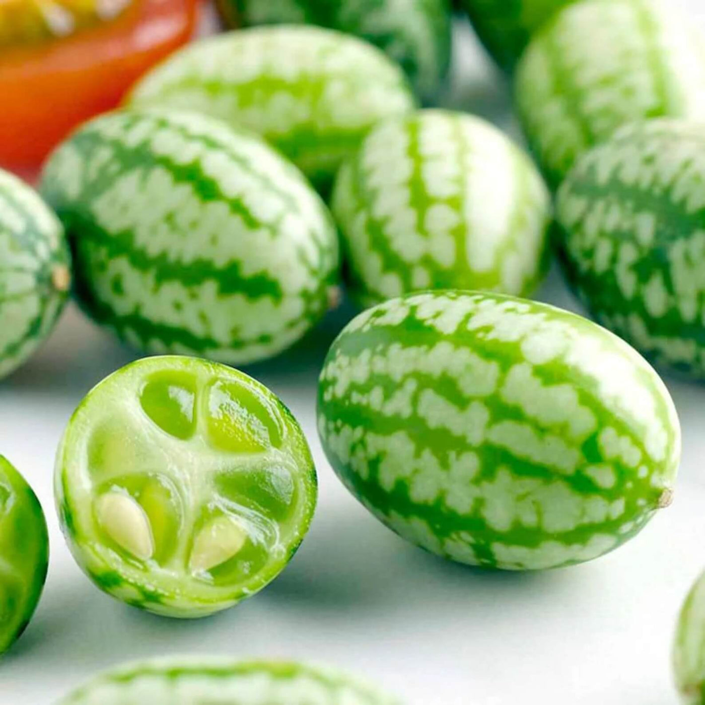 Mini Melon Seeds