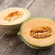 Minnesota Cantaloupe Melon Seeds