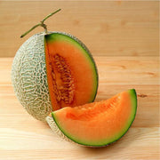 Musk Melon Seeds