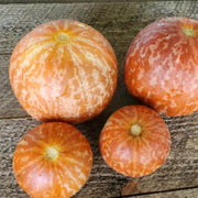 Pocket Melon Seeds