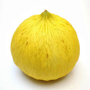 Yellow Casaba Melon Seeds