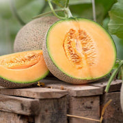 Standard Sweet Melon Seeds