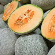 Standard Sweet Melon Seeds