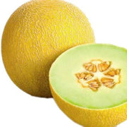 Yellow Galia Melon Seeds