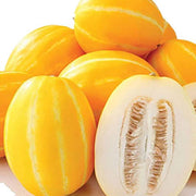 Yellow Korean Melon Seeds