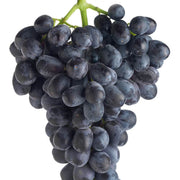 Midnight Beauty Grape Seeds