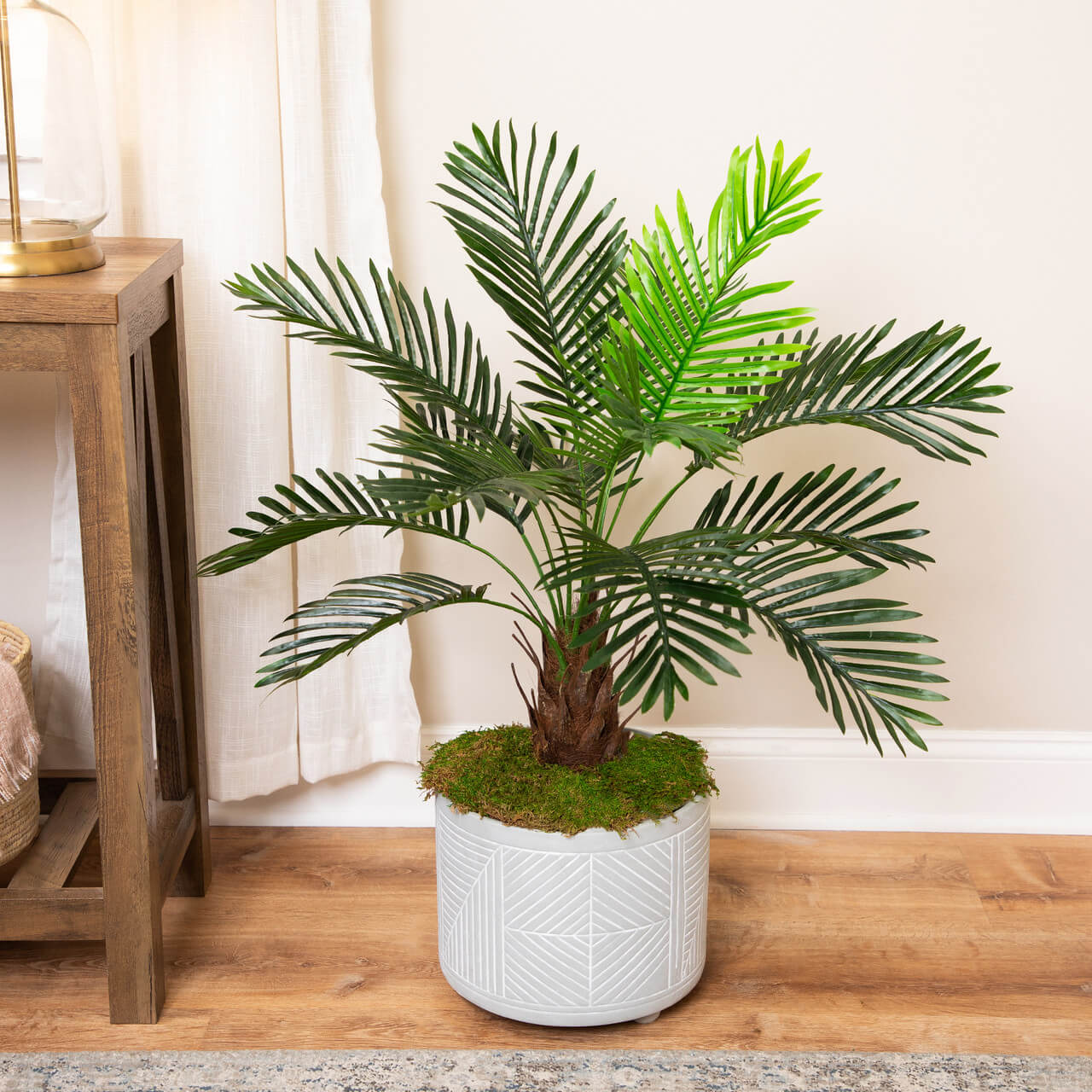 Mini Palm Plant Seeds - Tropical Ornamental Palm Seeds for Planting