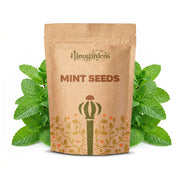 Mint Seeds – Mentha spp.