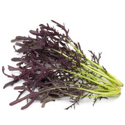Lime Streaks Mizuna Seeds, Herbal
