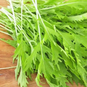 Green Mizuna Seeds, Herbal