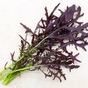 Lime Streaks Mizuna Seeds, Herbal