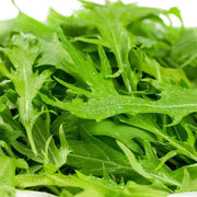 Green Mizuna Seeds, Herbal