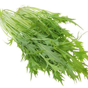 Green Mizuna Seeds, Herbal