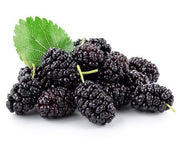 Black Mulberry Seeds