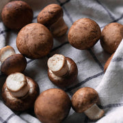 Cremini Mushroom Seeds