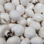 White Button Mushroom Seeds