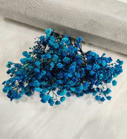Blue Gypsophila Seeds
