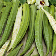 Cow Horn Okra Seeds