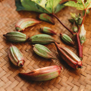 Hill Country Red Okra Seeds