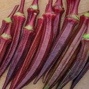 Red Green Okra Seeds