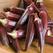 Red Green Okra Seeds