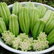 Star of David Okra Seeds