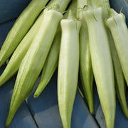 Blondy Okra Seeds