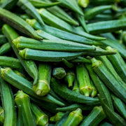 Green Okra Seeds
