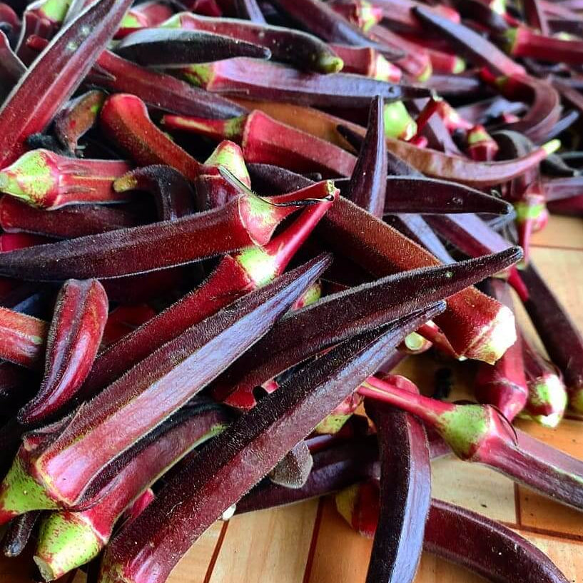 Maroon Red Okra Seeds