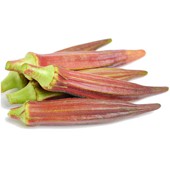 Orange Okra Seeds