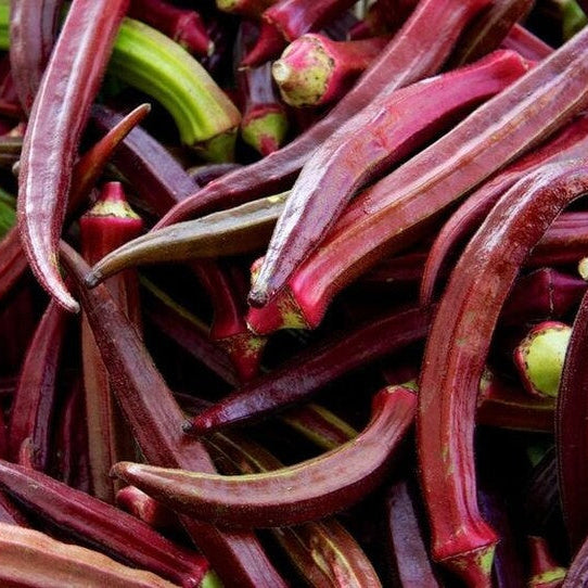 Red Green Okra Seeds