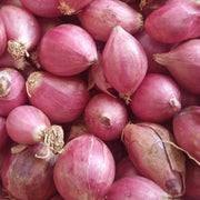 Shallots Onion Seeds