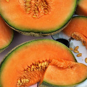 Orange Cantalupo Almizcle Melon Seeds, Vegetabe