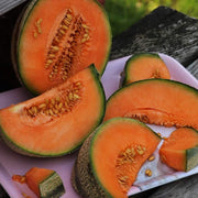 Orange Cantalupo Almizcle Melon Seeds, Vegetabe