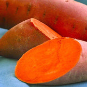 Sweet Seeds, Ipomoea batatas Vegetable Seeds
