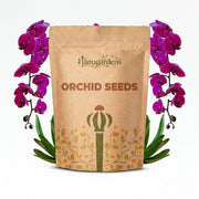 Orchid Seeds – Orchidaceae spp.