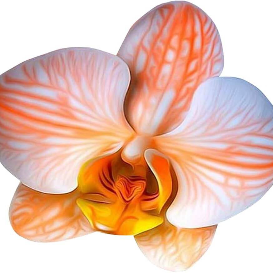 White Orange Orchid Seeds