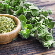 Oregano Seeds - Herbal Plant for Home Gardens Seeds