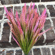 Organic Dark Pink Fern Seeds - Flower Plant
