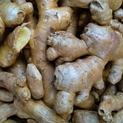 Organic Ginger Root Rhizomes Seeds - Herbal Plant