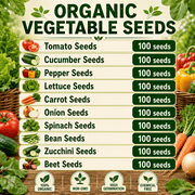 Organic Seeds