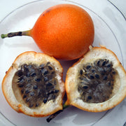 Passiflora edulis Orange Passion Seeds