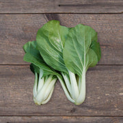 Canton Bok Choy Seeds