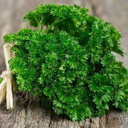 Green Parsley Seeds, Herbal