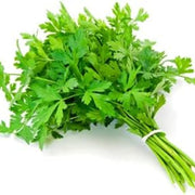 Laika Parsley Seeds