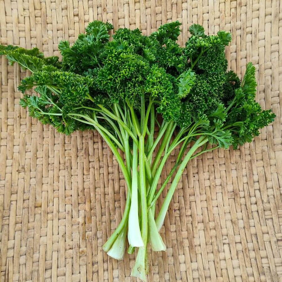 Forest Green Parsley Seeds